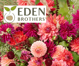 Eden Brothers spring bulbs